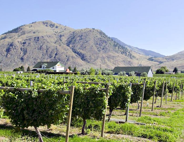 Crowsnest winery